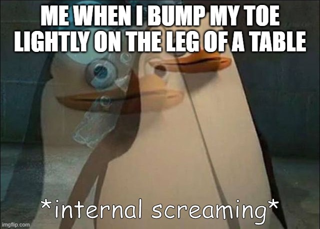 it can be heard 100 miles away | ME WHEN I BUMP MY TOE LIGHTLY ON THE LEG OF A TABLE | image tagged in private internal screaming | made w/ Imgflip meme maker