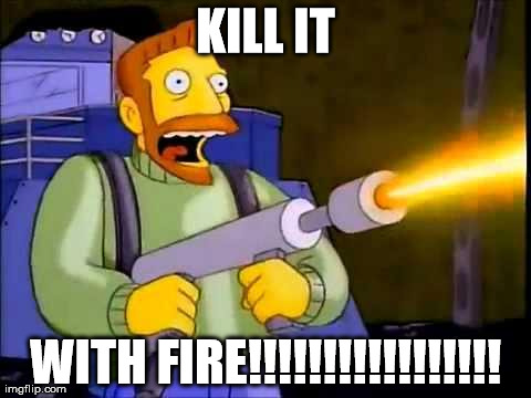 Kill it with fire | KILL IT WITH FIRE!!!!!!!!!!!!!!!!! | image tagged in kill it with fire,reactions | made w/ Imgflip meme maker