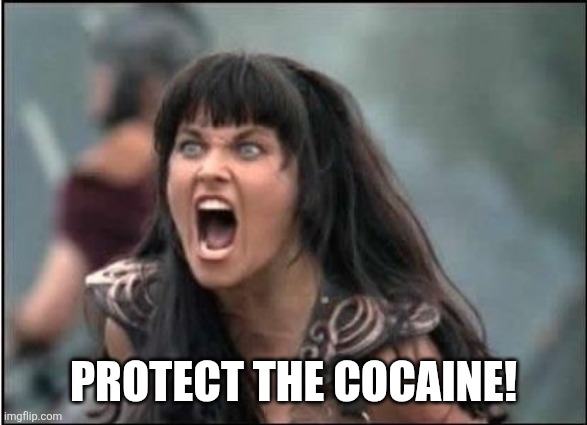 Xena Warrior Princess | PROTECT THE COCAINE! | image tagged in xena warrior princess | made w/ Imgflip meme maker
