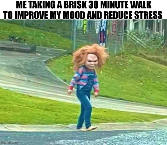 Me Taking A Brisk 30 Minute Walk To Improve My Mood And Reduce Stress | ME TAKING A BRISK 30 MINUTE WALK TO IMPROVE MY MOOD AND REDUCE STRESS | image tagged in chrisjoines1 | made w/ Imgflip meme maker