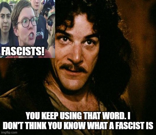 Inigo Montoya | FASCISTS! YOU KEEP USING THAT WORD. I DON'T THINK YOU KNOW WHAT A FASCIST IS | image tagged in memes,inigo montoya | made w/ Imgflip meme maker