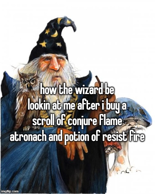 how the wizard be lookin at me after i buy a scroll of conjure flame atronach and potion of resist fire | made w/ Imgflip meme maker