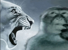 Tiger roaring at the thinking monkey Blank Meme Template