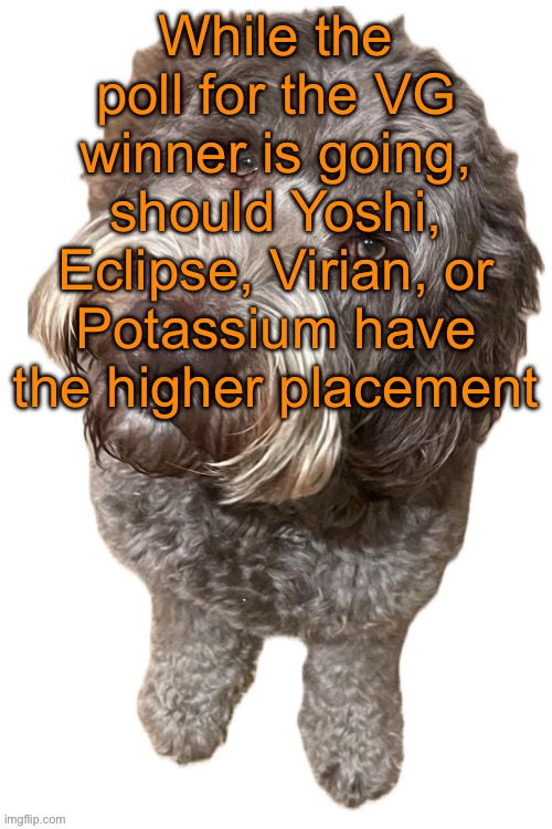 The one with the least votes will place 8th, the one with the most votes will place 5th | While the poll for the VG winner is going, should Yoshi, Eclipse, Virian, or Potassium have the higher placement | image tagged in norther's dog | made w/ Imgflip meme maker