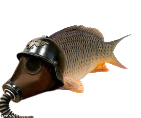 Death Carps of Krieg | made w/ Imgflip meme maker