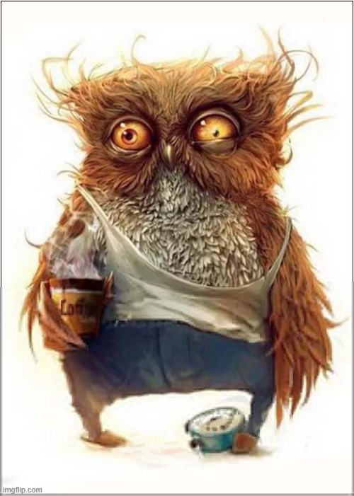 Not A Morning Person ! | image tagged in morning person | made w/ Imgflip meme maker