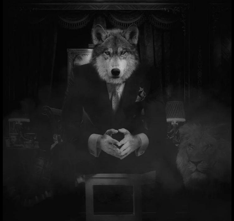 Wolf on a chair Blank Meme Template