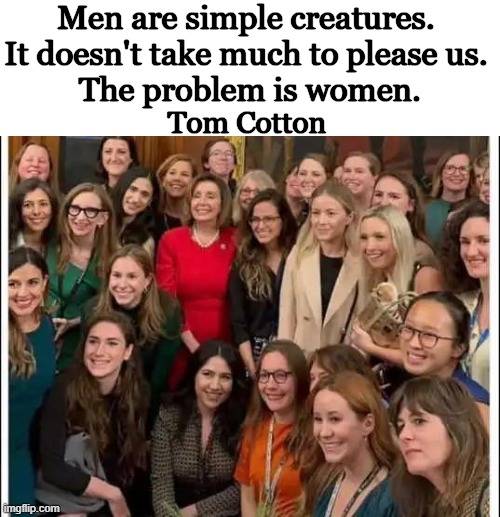 Houston, we have a problem... | Men are simple creatures. 
It doesn't take much to please us. 
The problem is women. Tom Cotton | image tagged in men and women,the problem is,women,liberal,political humor,the truth | made w/ Imgflip meme maker