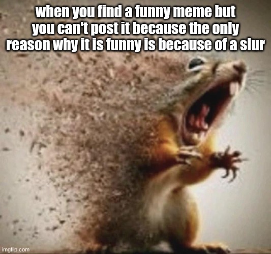badass squirrel disintegrating | when you find a funny meme but you can't post it because the only reason why it is funny is because of a slur | image tagged in badass squirrel disintegrating | made w/ Imgflip meme maker
