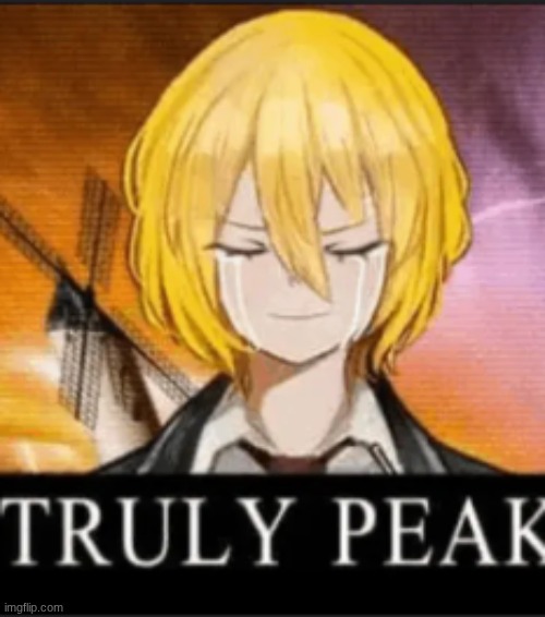 truly peak | image tagged in truly peak | made w/ Imgflip meme maker