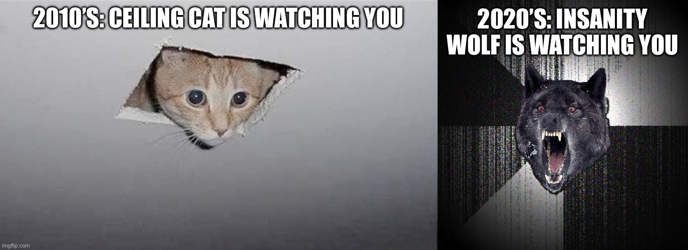 Progress! | 2020’S: INSANITY WOLF IS WATCHING YOU; 2010’S: CEILING CAT IS WATCHING YOU | image tagged in ceiling cat,memes,insanity wolf | made w/ Imgflip meme maker