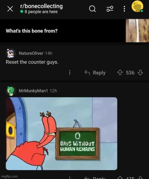 What If, we raided it? | image tagged in memes,shitpost,reddit,the human body,bones | made w/ Imgflip meme maker