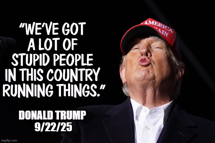 Accidental self-awareness. | “WE’VE GOT 
A LOT OF 
STUPID PEOPLE 
IN THIS COUNTRY 
RUNNING THINGS.”; DONALD TRUMP 
9/22/25 | image tagged in trump in a moment of quiet dignified contemplation,trump,ridiculous,clown,incompetence,worst | made w/ Imgflip meme maker