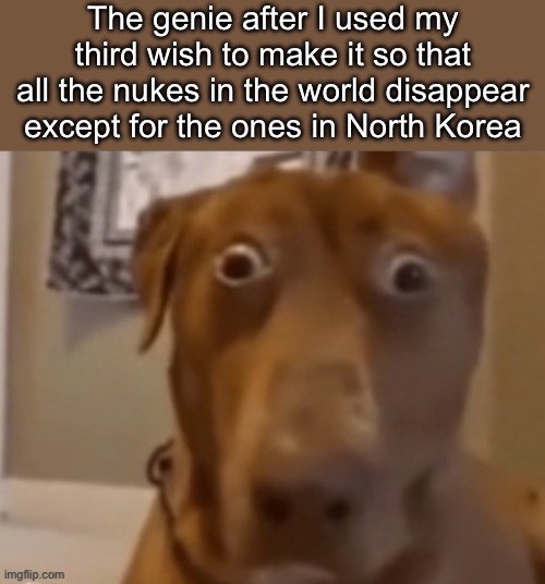 “You sure you don’t want, like, money or superpowers or smth?” | The genie after I used my third wish to make it so that all the nukes in the world disappear except for the ones in North Korea | image tagged in scare doggo | made w/ Imgflip meme maker
