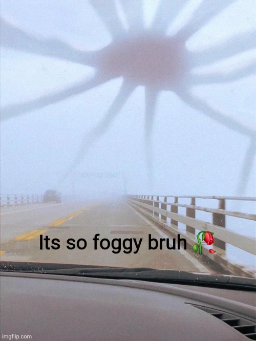 Donald Trump | Its so foggy bruh 🥀 | image tagged in web kraken,gender identity | made w/ Imgflip meme maker
