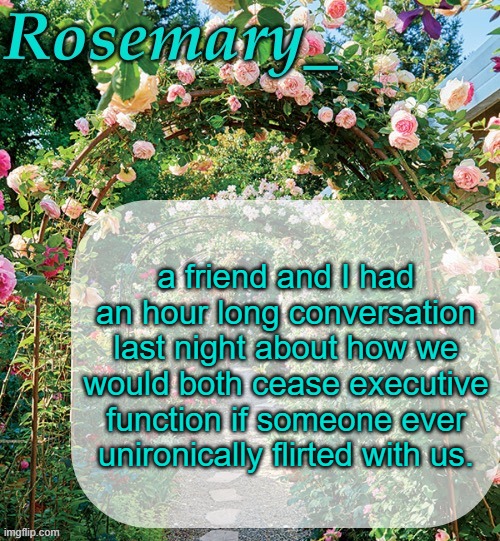 translation: we're lonely | a friend and I had an hour long conversation last night about how we would both cease executive function if someone ever unironically flirted with us. | image tagged in rosemary_ template | made w/ Imgflip meme maker