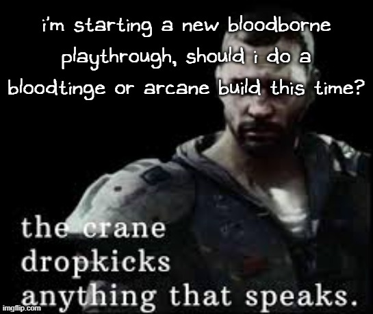 i wanna mix it up a lil | i'm starting a new bloodborne playthrough, should i do a bloodtinge or arcane build this time? | image tagged in the crane dropkicks anything that speaks | made w/ Imgflip meme maker