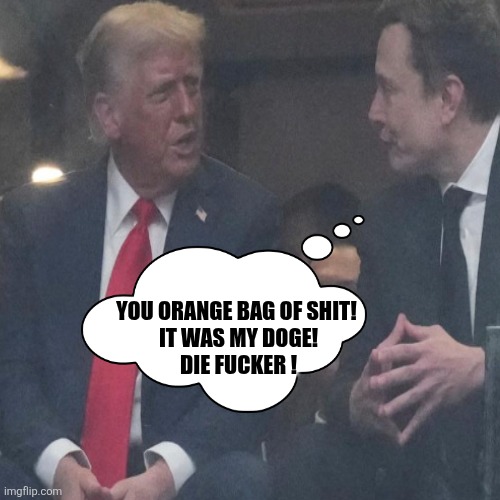 YOU ORANGE BAG OF SHIT! 
IT WAS MY DOGE!
DIE FUCKER ! | made w/ Imgflip meme maker