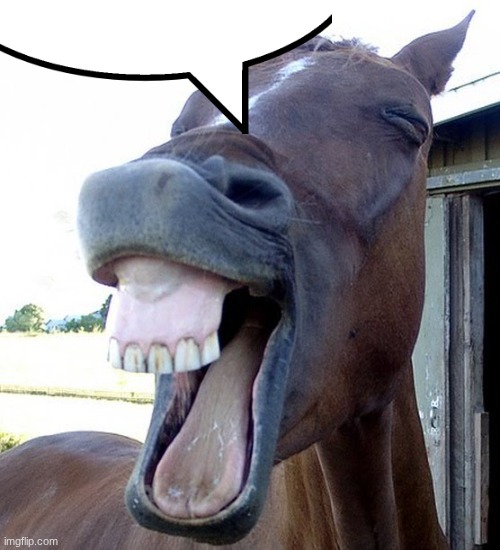 Funny Horse Face | image tagged in funny horse face | made w/ Imgflip meme maker