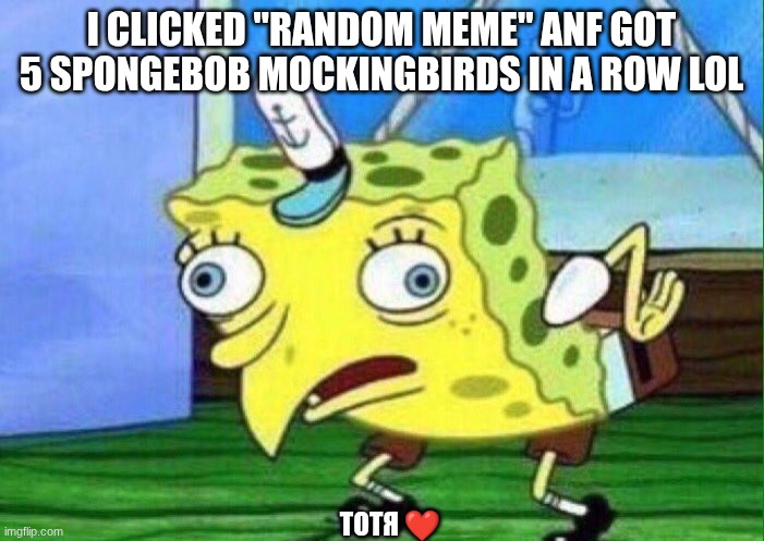 spongebob mockingbird | I CLICKED "RANDOM MEME" ANF GOT 5 SPONGEBOB MOCKINGBIRDS IN A ROW LOL ТОТЯ ❤️ | image tagged in spongebob mockingbird | made w/ Imgflip meme maker