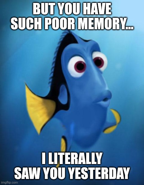 Dory | BUT YOU HAVE SUCH POOR MEMORY... I LITERALLY SAW YOU YESTERDAY | image tagged in dory | made w/ Imgflip meme maker