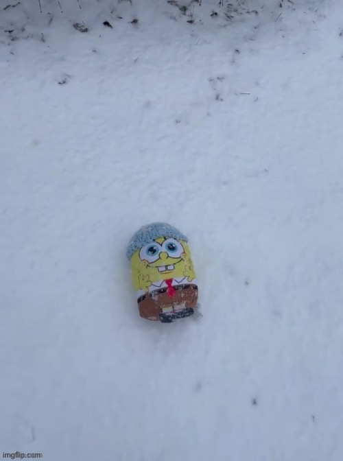 snowbob | image tagged in snowbob | made w/ Imgflip meme maker