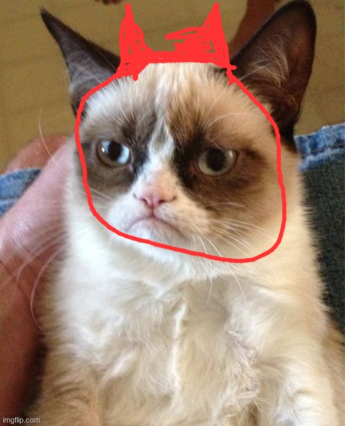 Grumpy Cat Meme | image tagged in memes,grumpy cat | made w/ Imgflip meme maker