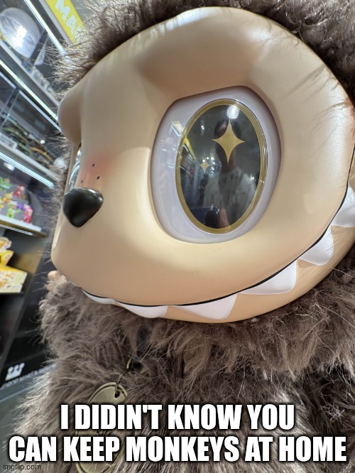 mmm monke | I DIDIN'T KNOW YOU CAN KEEP MONKEYS AT HOME | image tagged in no labubus | made w/ Imgflip meme maker