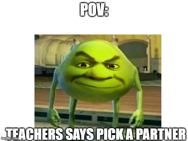 Pov the teachers says pick a partner | POV:; TEACHERS SAYS PICK A PARTNER | image tagged in mike wazowski | made w/ Imgflip meme maker