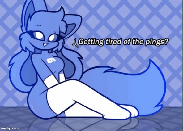 Discord furry idk | image tagged in discord furry idk | made w/ Imgflip meme maker
