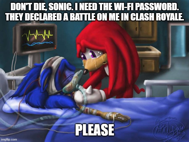 sonic please | DON'T DIE, SONIC. I NEED THE WI-FI PASSWORD. THEY DECLARED A BATTLE ON ME IN CLASH ROYALE. PLEASE | image tagged in sonic please | made w/ Imgflip meme maker