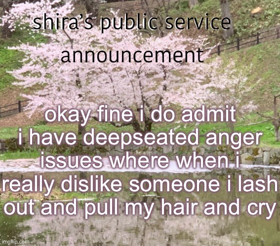 shira’s PSA | okay fine i do admit i have deepseated anger issues where when i really dislike someone i lash out and pull my hair and cry | image tagged in shira s psa | made w/ Imgflip meme maker