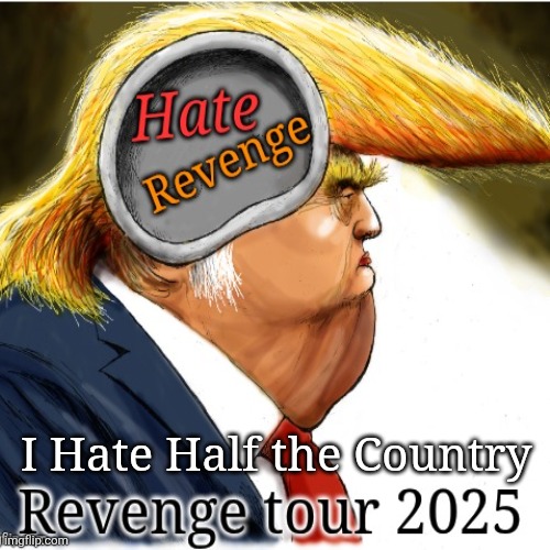 Coming to a Town near you | I Hate Half the Country | image tagged in trump,maga,revenge,destroy,violence,because trump is a malignant narcissist | made w/ Imgflip meme maker