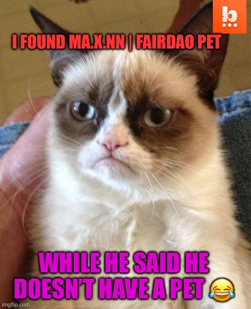 Grumpy Cat Meme | I FOUND MA.X.NN | FAIRDAO PET; WHILE HE SAID HE DOESN’T HAVE A PET 😂 | image tagged in memes,grumpy cat | made w/ Imgflip meme maker