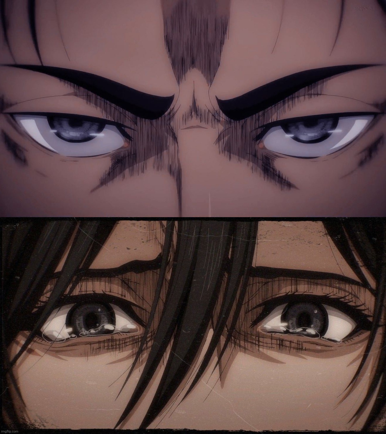 Eren and Mikasa eye stare Blank Meme Template