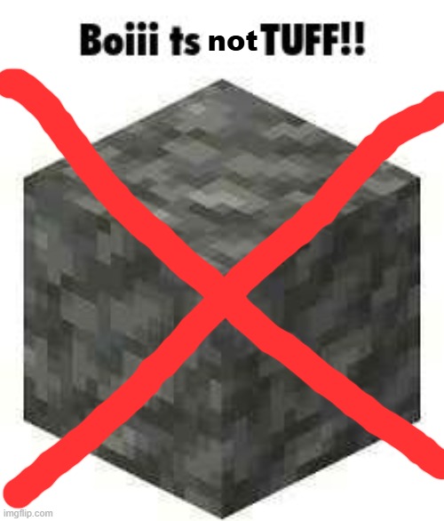 Boii ts so TUFF!! | not | image tagged in boii ts so tuff | made w/ Imgflip meme maker