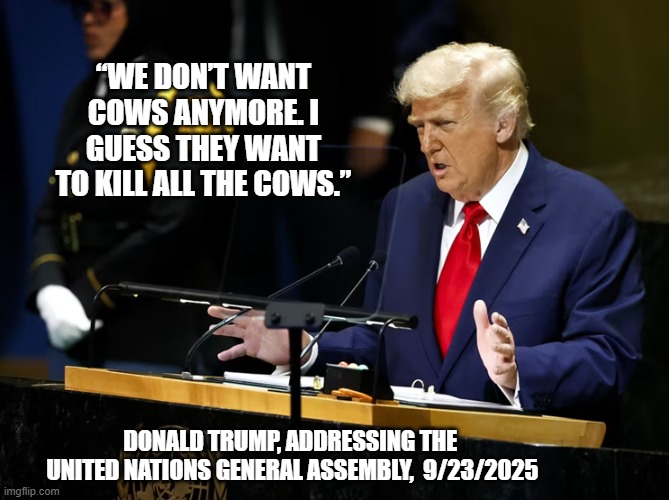 trump, speaking about cows to the UN | “WE DON’T WANT COWS ANYMORE. I GUESS THEY WANT TO KILL ALL THE COWS.”; DONALD TRUMP, ADDRESSING THE 
UNITED NATIONS GENERAL ASSEMBLY,  9/23/2025 | made w/ Imgflip meme maker