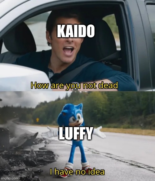 gear 5 | KAIDO; LUFFY | image tagged in sonic i have no idea | made w/ Imgflip meme maker