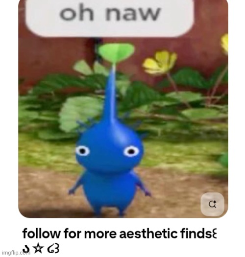 I have truly found my aesthetic now. | made w/ Imgflip meme maker