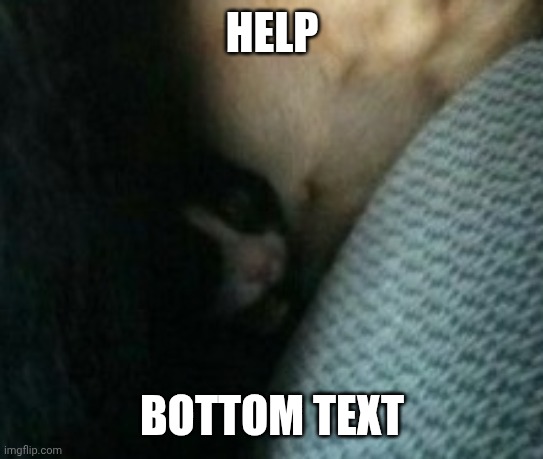 HELP BOTTOM TEXT | made w/ Imgflip meme maker