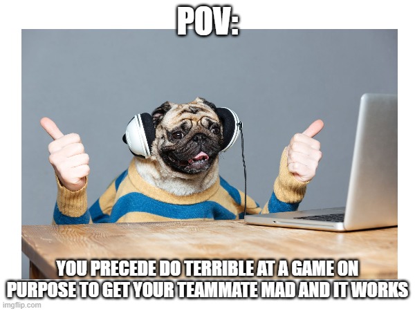 PUG GAMING MEME | POV:; YOU PRECEDE DO TERRIBLE AT A GAME ON PURPOSE TO GET YOUR TEAMMATE MAD AND IT WORKS | image tagged in pug | made w/ Imgflip meme maker