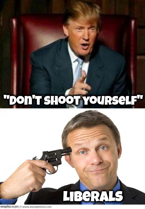 If only it was that easy | "Don't shoot yourself"; Liberals | image tagged in donald trump,gun to head,i wish,tds,mental illness | made w/ Imgflip meme maker