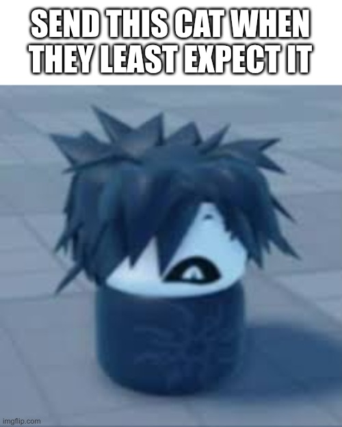 dont if you want i guess but it is a joke meme so yeah | SEND THIS CAT WHEN THEY LEAST EXPECT IT | image tagged in baby two time,post this cat when they least expect it,two time lol | made w/ Imgflip meme maker