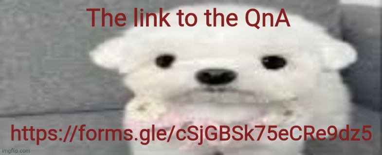 Dog stating | The link to the QnA; https://forms.gle/cSjGBSk75eCRe9dz5 | image tagged in dog stating | made w/ Imgflip meme maker