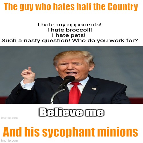 Blank Transparent Square Meme | The guy who hates half the Country And his sycophant minions | image tagged in memes,blank transparent square | made w/ Imgflip meme maker