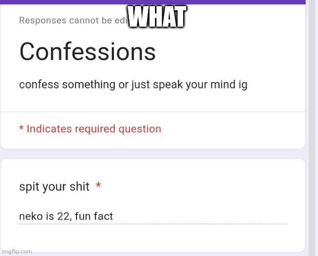 WHAT | made w/ Imgflip meme maker