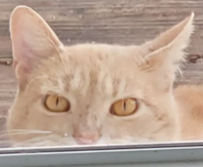 I'm watching you Blank Meme Template