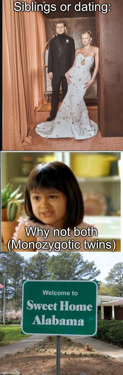 Twins? | Siblings or dating:; Why not both
(Monozygotic twins) | image tagged in why not both,welcome to sweet home alabama,twins,sisters | made w/ Imgflip meme maker