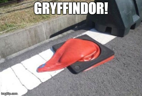 Gryffindor! | GRYFFINDOR! | image tagged in harry,potter,gryffindor | made w/ Imgflip meme maker