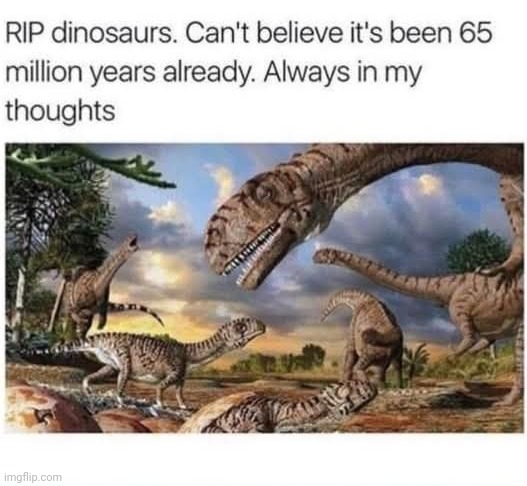 RIP bro | image tagged in dinosaur | made w/ Imgflip meme maker